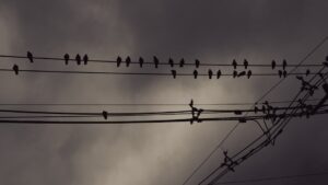 Photo conectat la actualitate