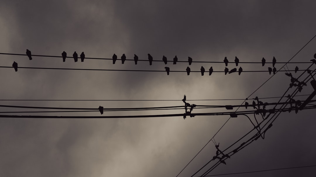 Photo conectat la actualitate