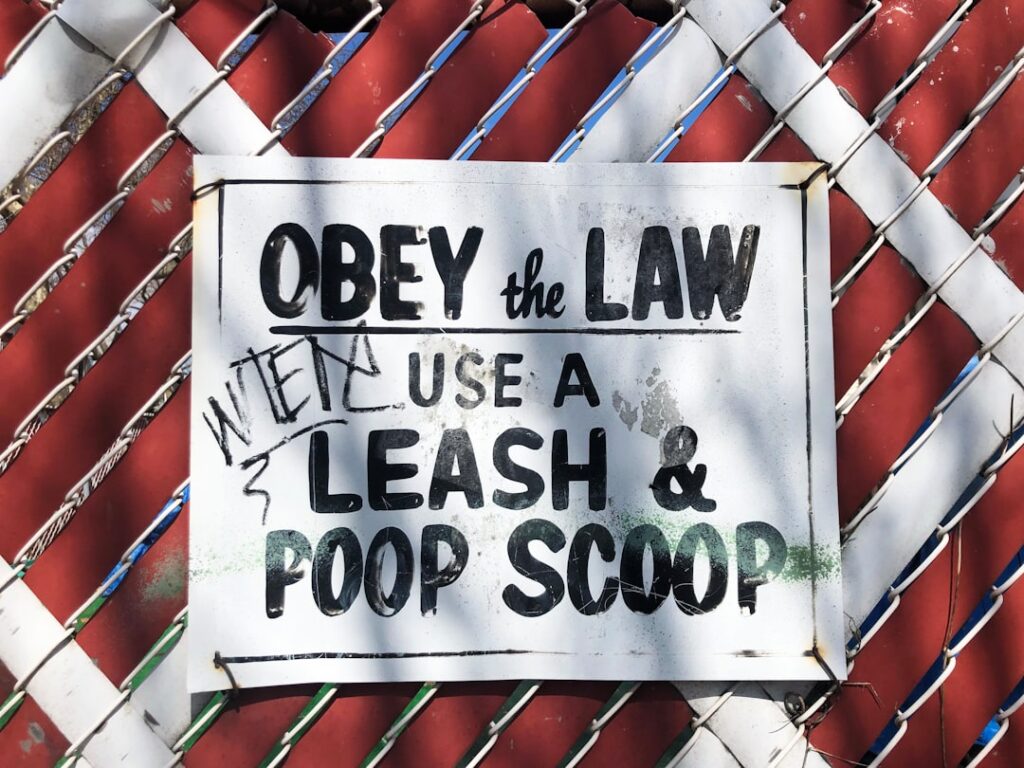 Photo rule of law