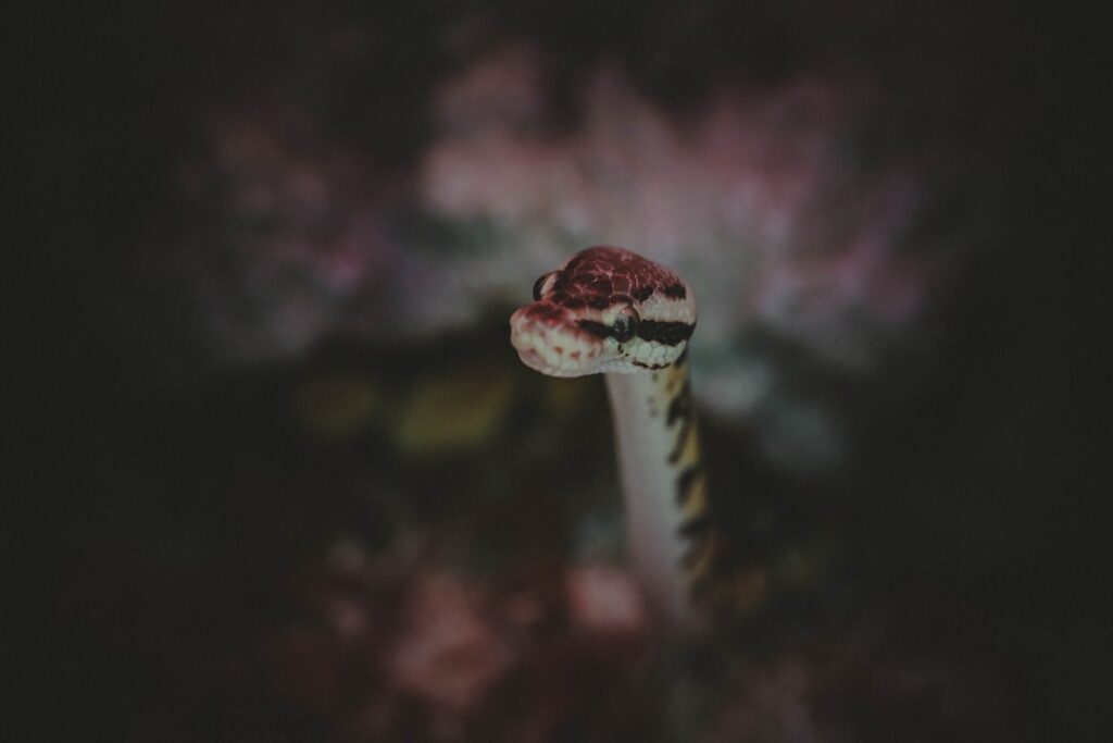 Photo dream interpretation with snakes guide