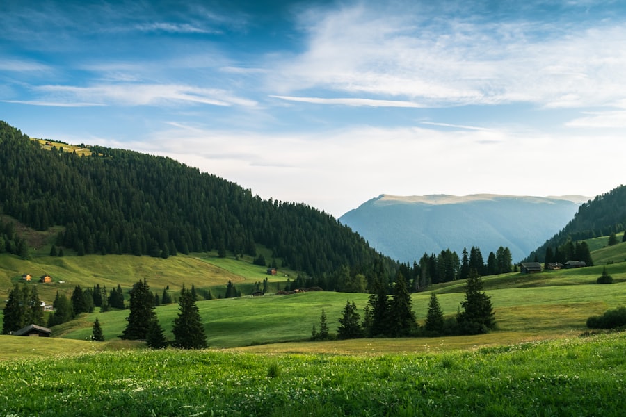Photo vrea