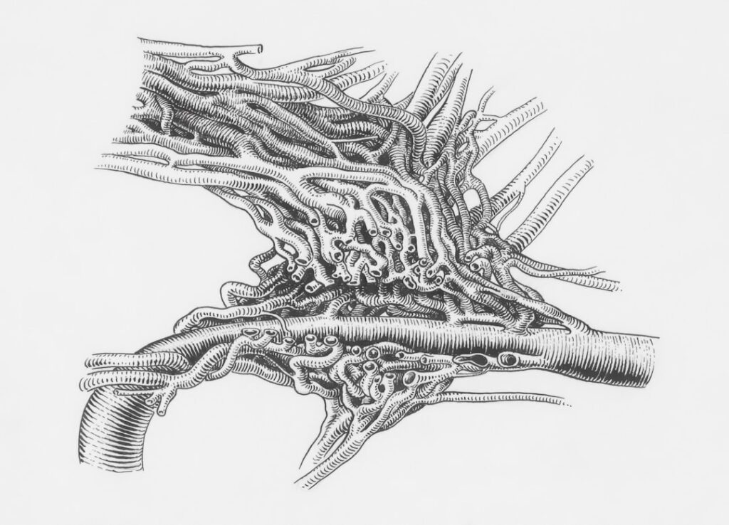 Photo abdomen plat
