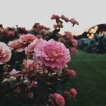 Photo Instagram captions