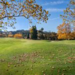 Photo dream interpretation