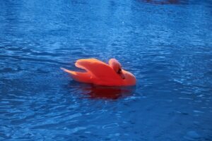 Photo vizei de flotant