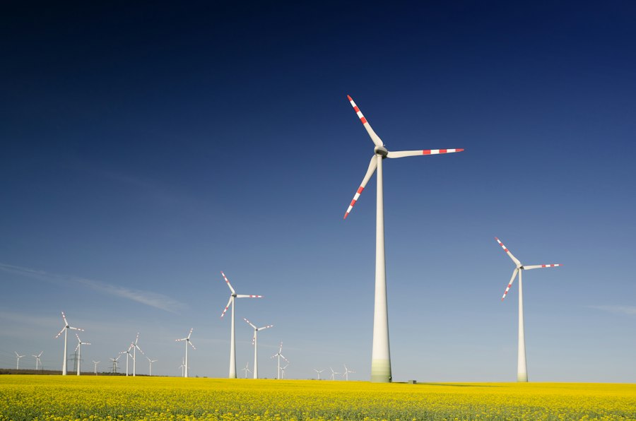 renewable energy
