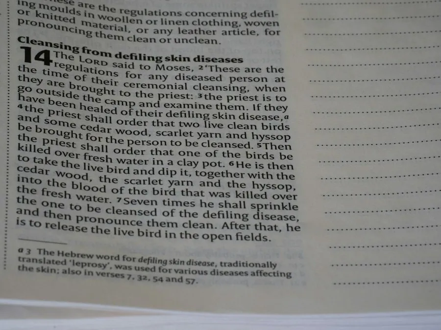fact-checking guide