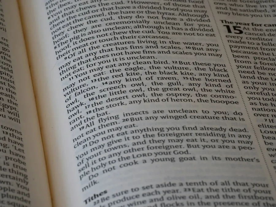 Photo common editorial mistakes